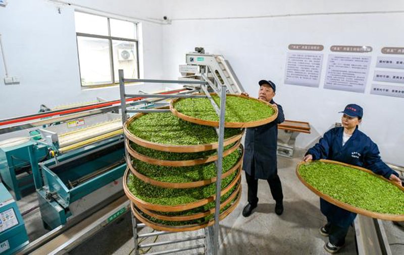 非标机械加工：制造业中的一抹独特风景